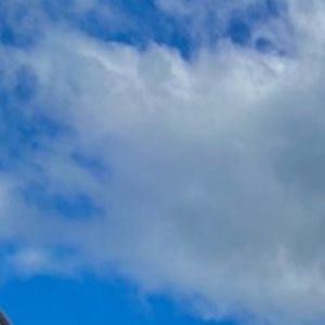 Meet your Posher, Rylee